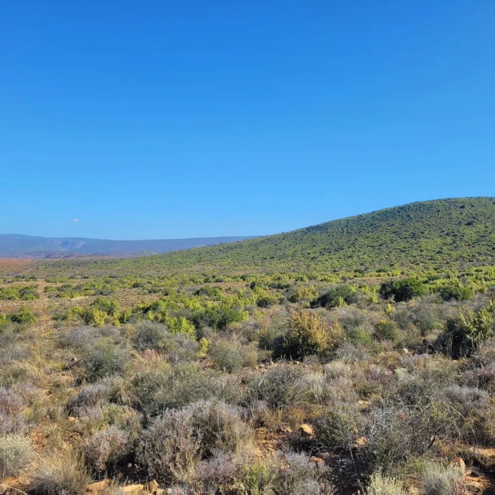 Farm vacant land sold in Calitzdorp - 1OU1684056 Farm vacant land sold in Calitzdorp - 1OU1684056