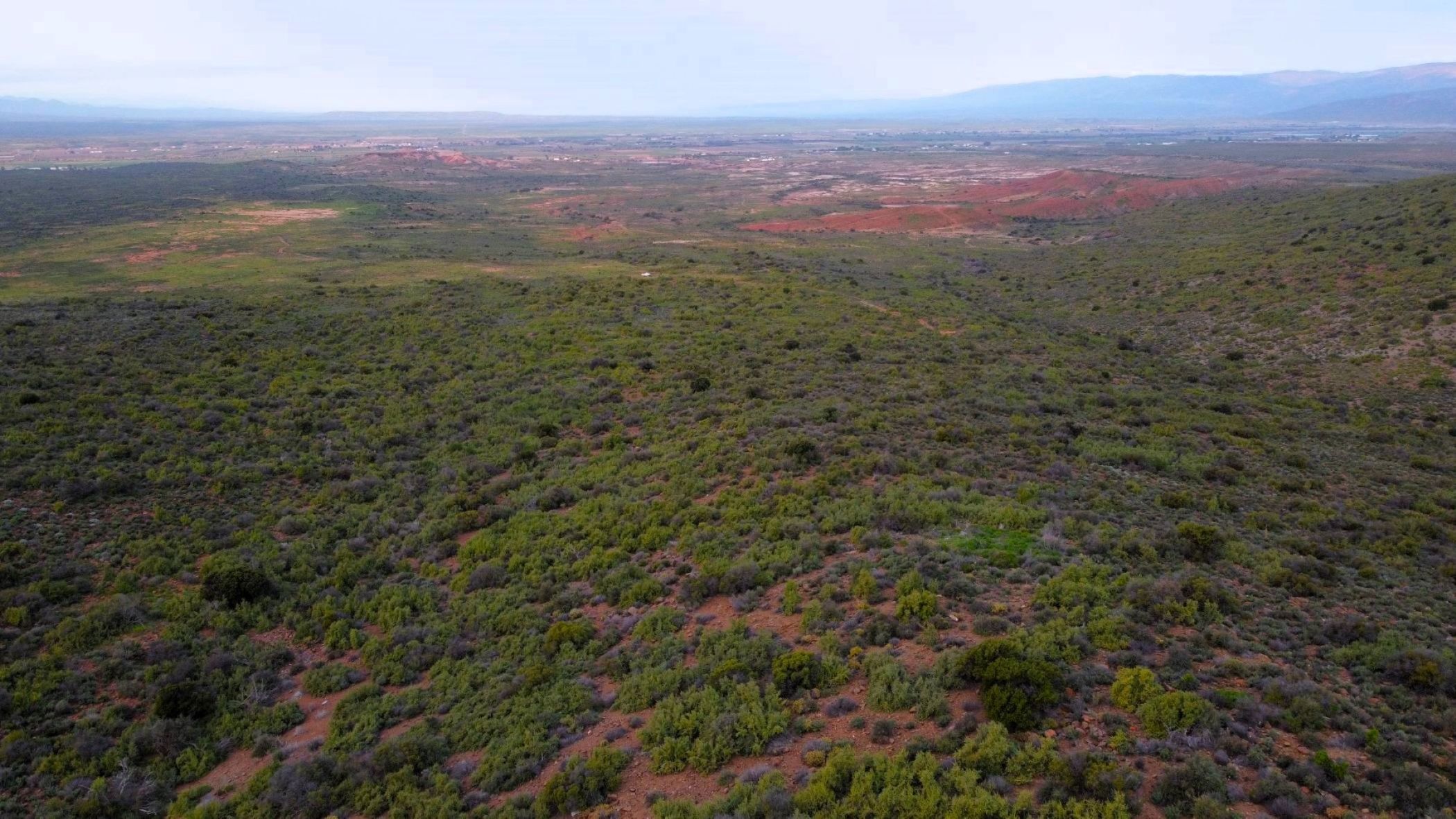 Farm vacant land sold in Calitzdorp - 1OU1684057
