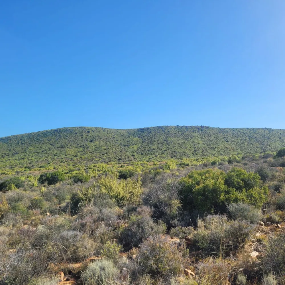 Farm vacant land sold in Calitzdorp - 1OU1684057 Farm vacant land sold in Calitzdorp - 1OU1684057