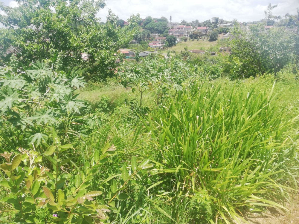 Vacant land for sale in Marburg - 1PSH1684369