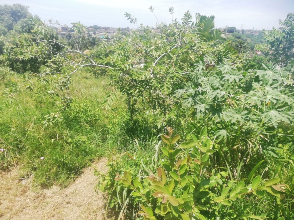 Vacant land for sale in Marburg - 1PSH1684369