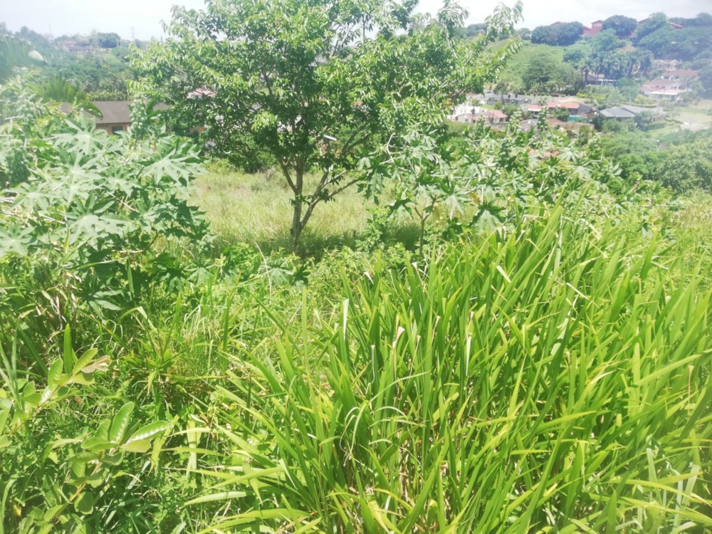 Vacant land for sale in Marburg - 1PSH1684369