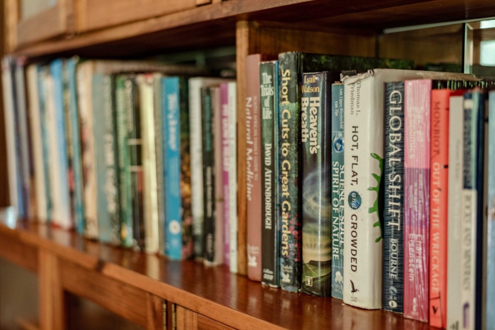 Lifestyle property for sale in Tsitsikamma - 1KG1684160