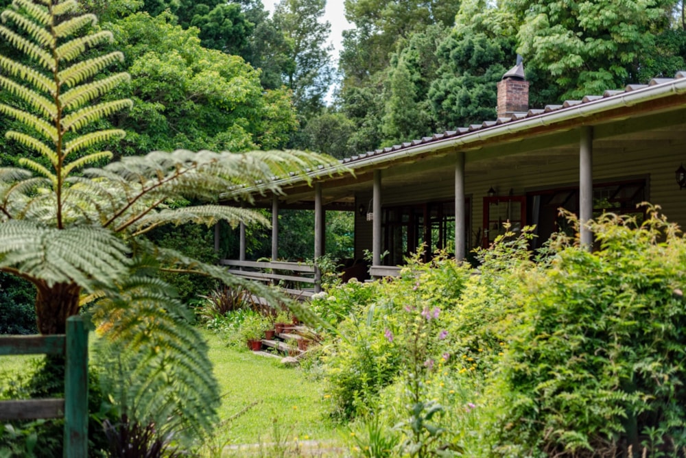 Lifestyle property for sale in Tsitsikamma - 1KG1684160