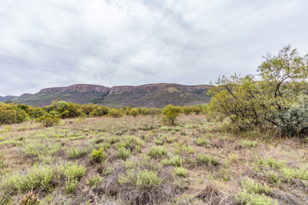 Mixed use farm for sale in Skeerpoort - 1HR1684242 Mixed use farm for sale in Skeerpoort - 1HR1684242