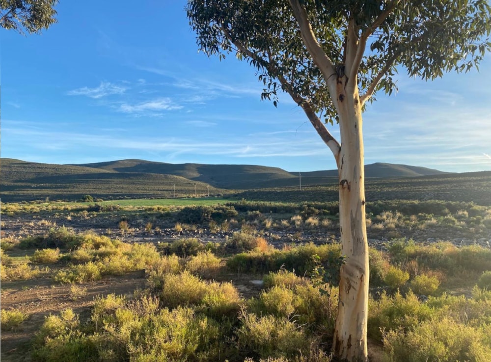 Game farm for sale in Laingsburg - 1KK1684277