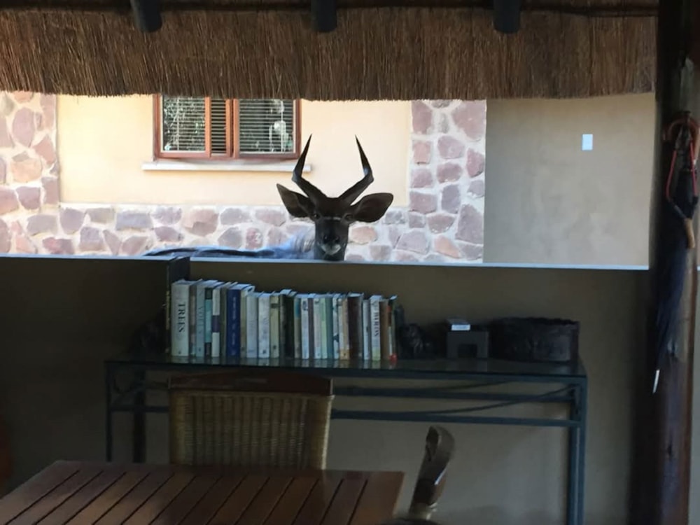 Game lodge for sale in Selection Beach - 1RY1684256 Game lodge for sale in Selection Beach - 1RY1684256