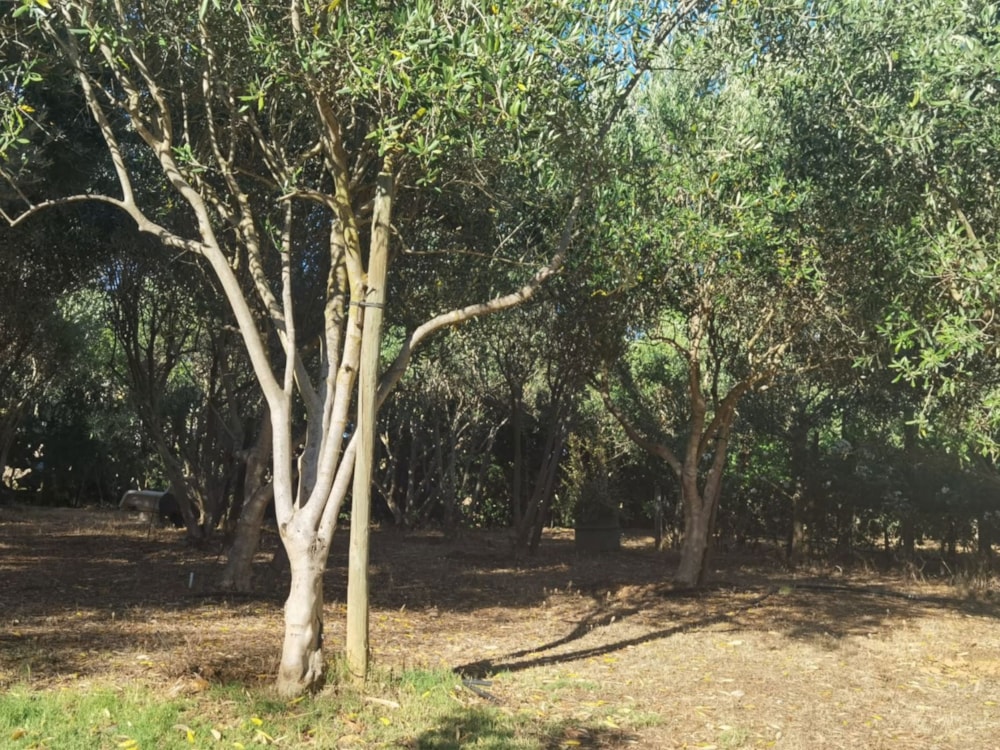 Vacant land for sale in Ongegund Village - RV1684372 Vacant land for sale in Ongegund Village - RV1684372