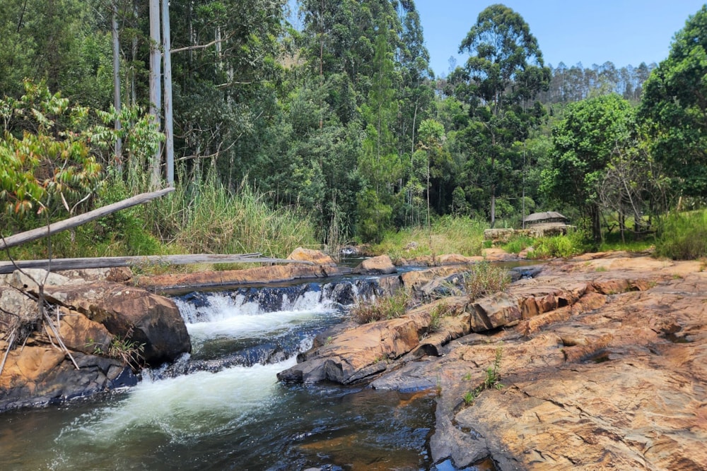 Country resort sold in Haenertsburg - 1TA1684471 Country resort sold in Haenertsburg - 1TA1684471