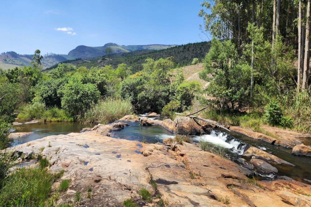 Country resort sold in Haenertsburg - 1TA1684471 Country resort sold in Haenertsburg - 1TA1684471