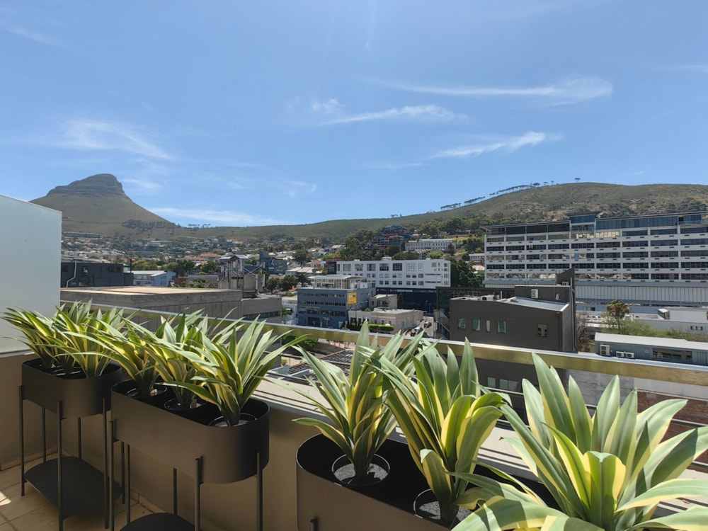 Apartment to rent in Cape Town Central - CBL1733793 Apartment to rent in Cape Town Central - CBL1733793