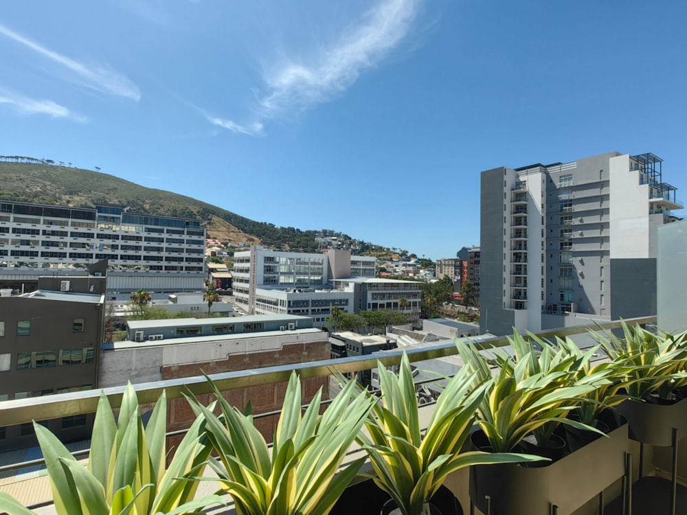 Apartment to rent in Cape Town Central - CBL1733793 Apartment to rent in Cape Town Central - CBL1733793