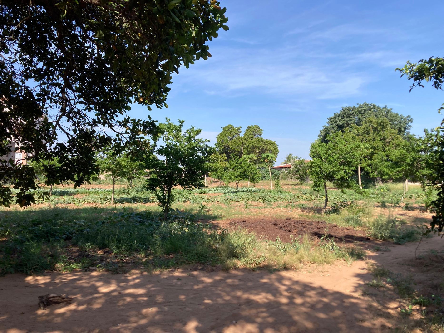 Vacant land for investment in Matola, Mozambique - 3MQ1684653