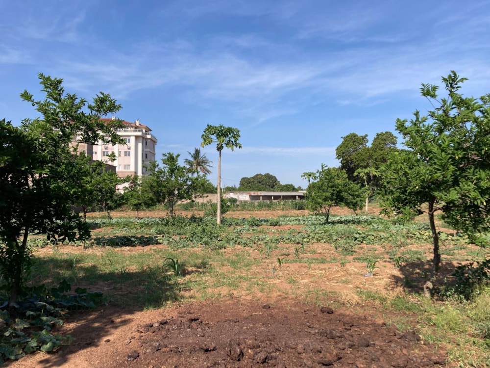 Vacant land for investment in Matola, Mozambique - 3MQ1684653 Vacant land for investment in Matola, Mozambique - 3MQ1684653