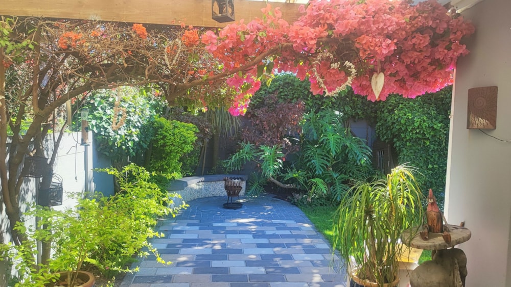 House let in Rondebosch Park Estate - RBL1689327