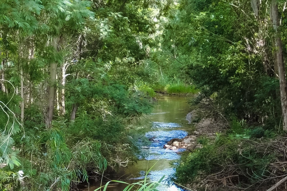 Lifestyle property for sale in Tulbagh - RV1684849