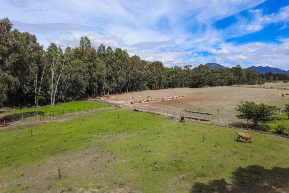 Lifestyle property for sale in Tulbagh - RV1684849 Lifestyle property for sale in Tulbagh - RV1684849