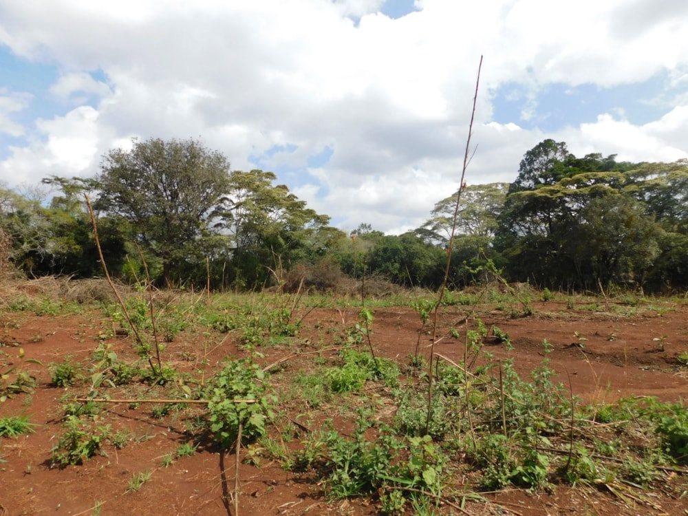 Vacant land sold in Karen, Kenya - 3KE1685097 Vacant land sold in Karen, Kenya - 3KE1685097