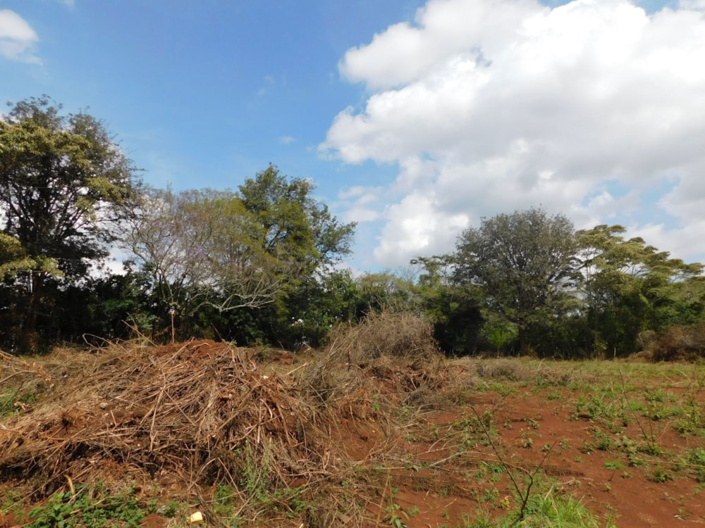 Vacant land sold in Karen, Kenya - 3KE1685100 Vacant land sold in Karen, Kenya - 3KE1685100