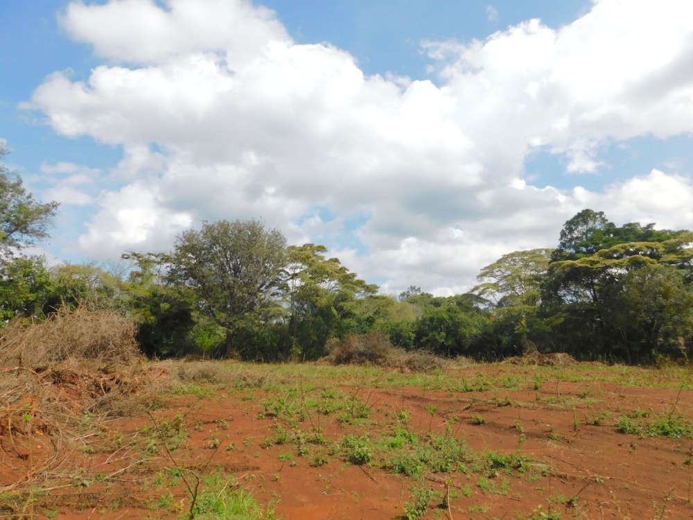 Vacant land sold in Karen, Kenya - 3KE1685100 Vacant land sold in Karen, Kenya - 3KE1685100