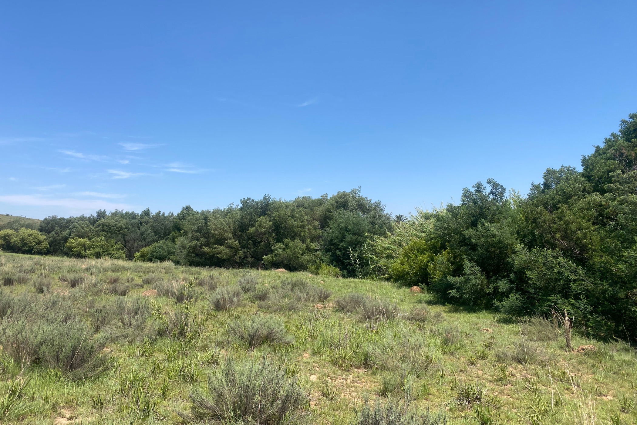 Vacant land for sale in Hoeveld Park - 1WD1685115