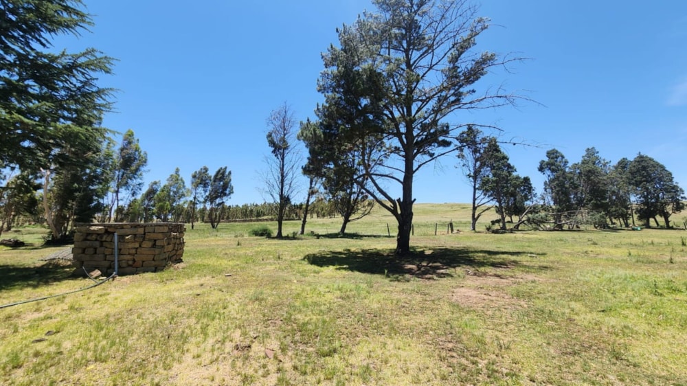 Mixed use farm for sale in Harrismith - 1BTH1685198