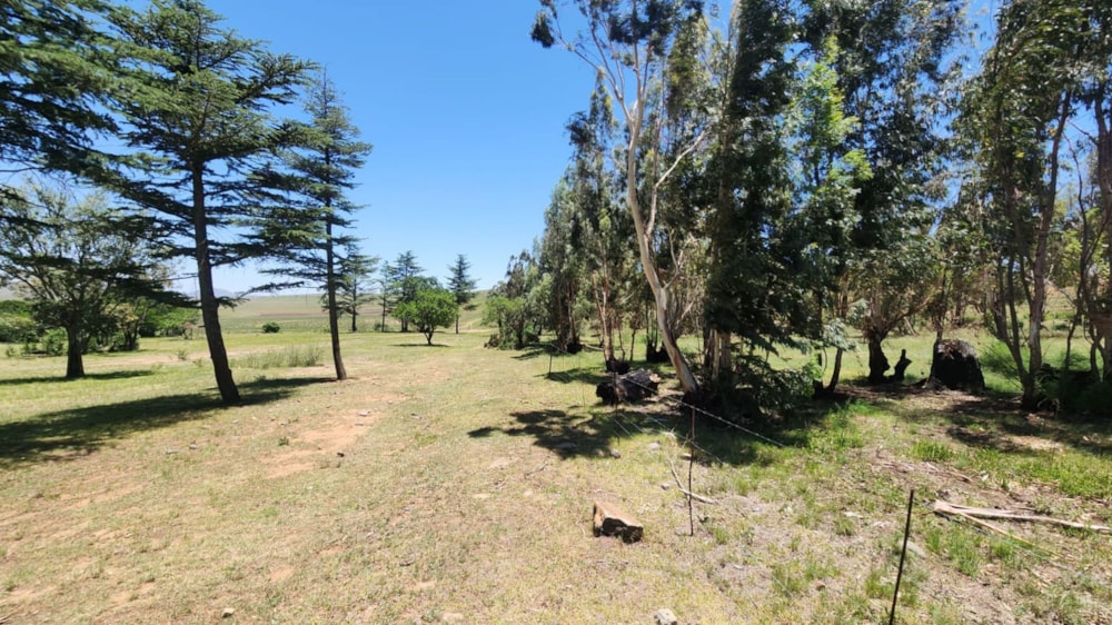 Mixed use farm for sale in Harrismith - 1BTH1685198