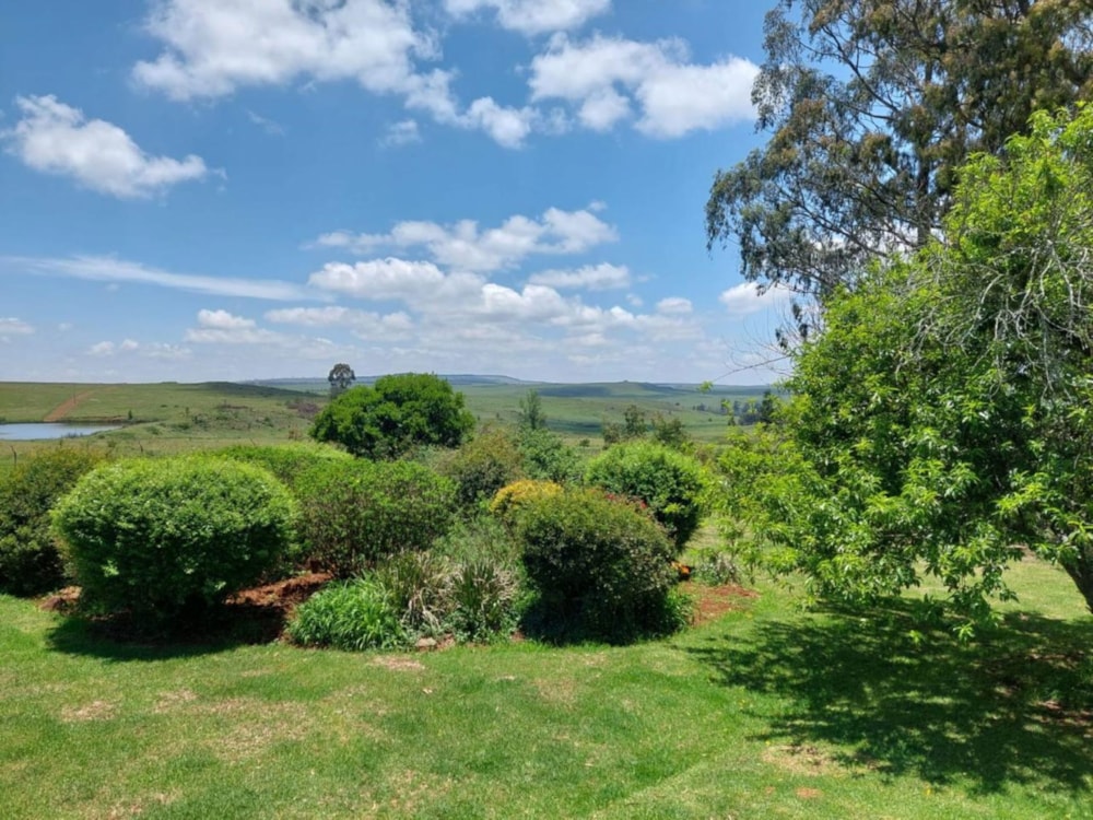 Mixed use farm for sale in Machadodorp Rural - 1DS1193782