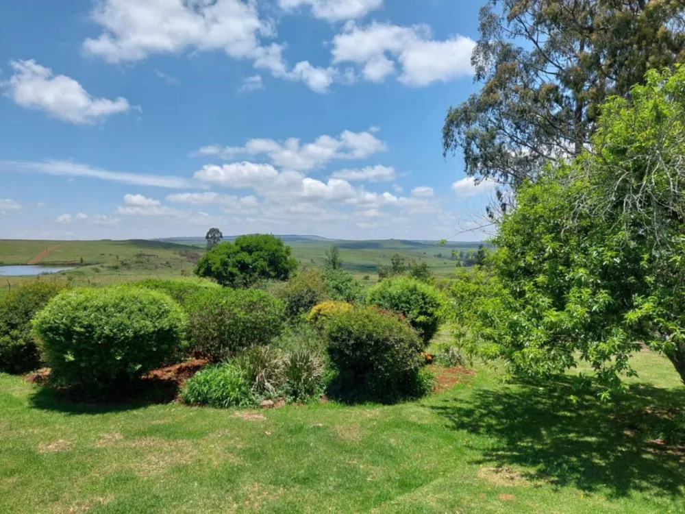Mixed use farm for sale in Machadodorp Rural - 1DS1193782 Mixed use farm for sale in Machadodorp Rural - 1DS1193782