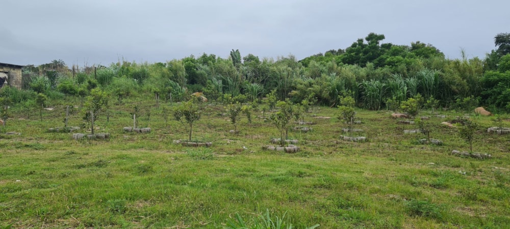 Commercial industrial property for sale in Banners Rest - 1PD1685145