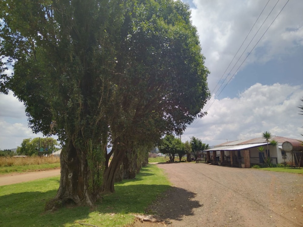 Smallholding for sale in Dullstroom - 1DS1683282 Smallholding for sale in Dullstroom - 1DS1683282