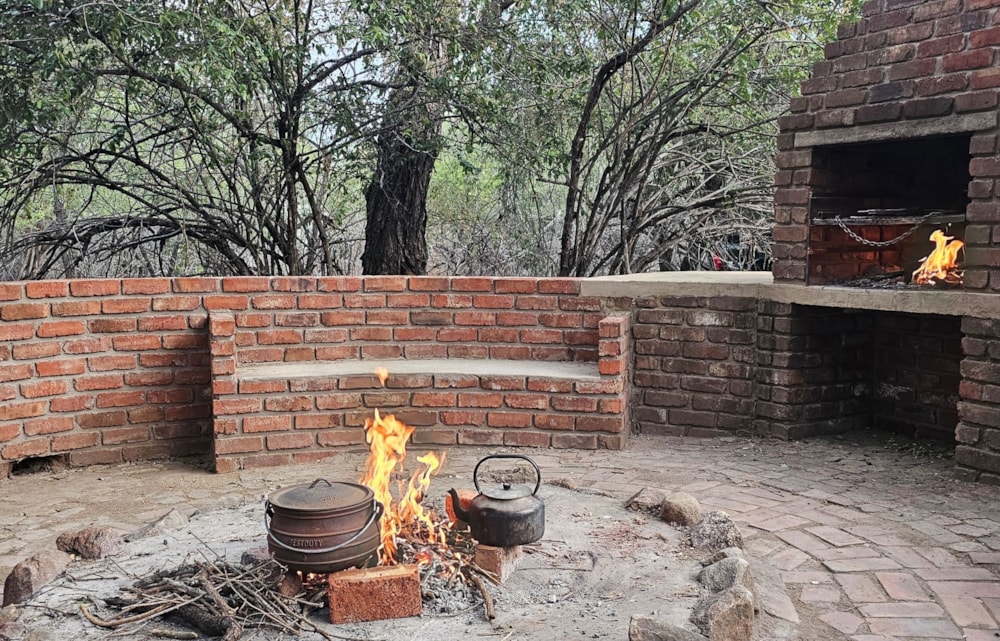 House to rent in Marloth Park - 1NK1684775 House to rent in Marloth Park - 1NK1684775