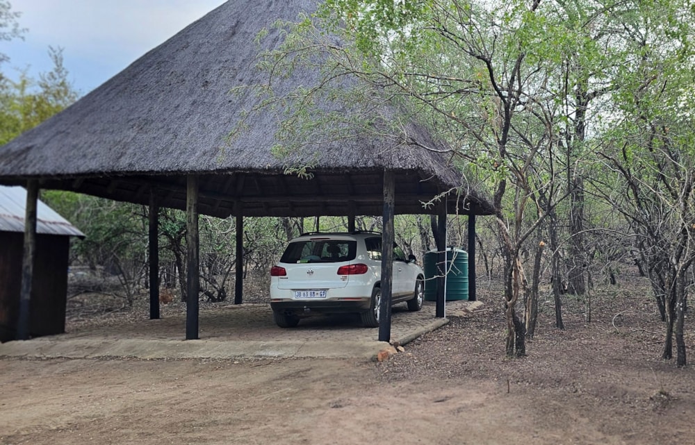 House to rent in Marloth Park - 1NK1684775 House to rent in Marloth Park - 1NK1684775