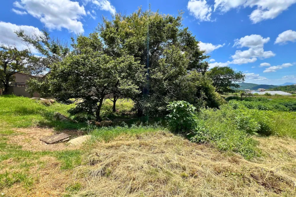 Vacant land for sale in Drum Rock - 1NS1687673