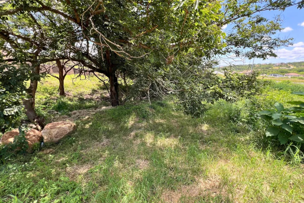 Vacant land for sale in Drum Rock - 1NS1687673