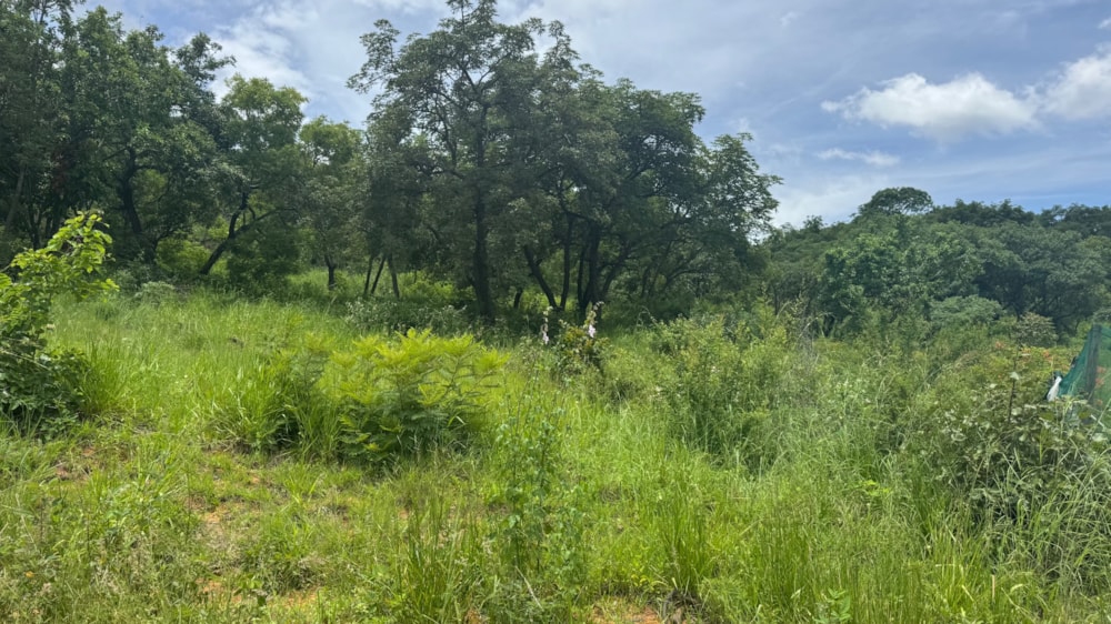 Residential vacant land for sale in Drum Rock - 1NS1686374 Residential vacant land for sale in Drum Rock - 1NS1686374