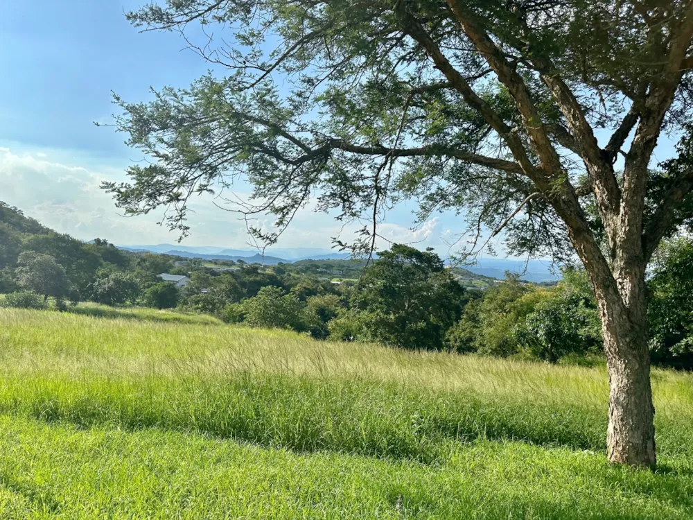 Vacant land for sale in The Rest - 1NS1686760