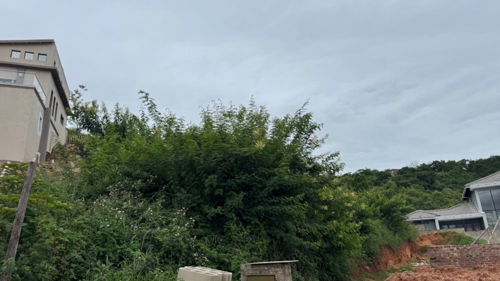 Vacant land for sale in Drum Rock - 1NS1686864