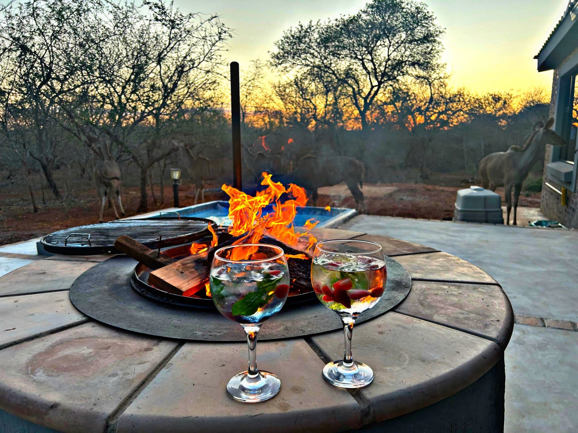 House to rent in Marloth Park - 1NK1686824