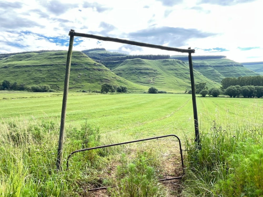 Dairy farm for sale in Himeville - 1UB1688910 Dairy farm for sale in Himeville - 1UB1688910