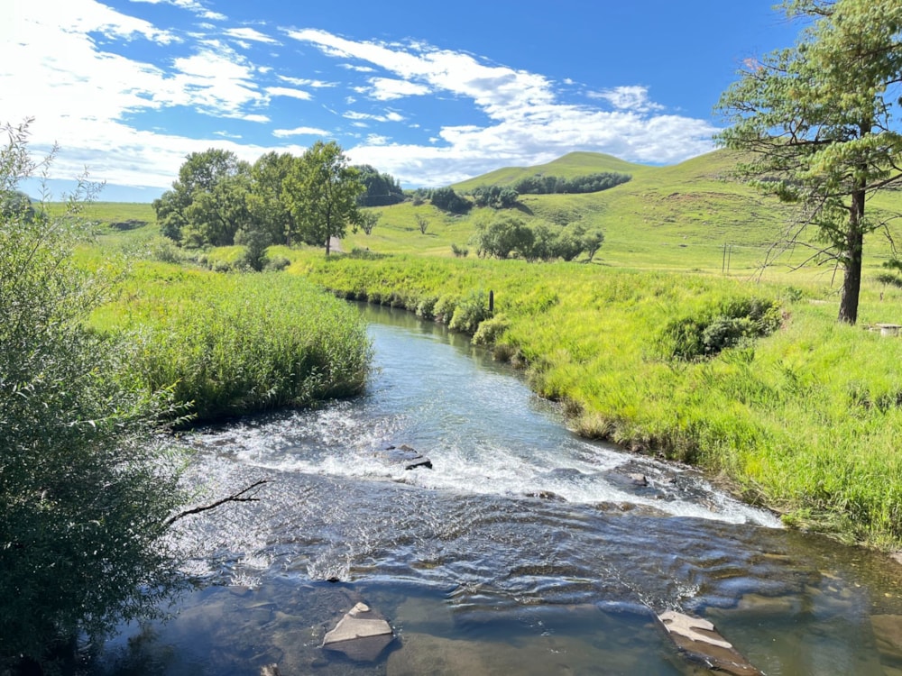 Dairy farm for sale in Himeville - 1UB1688910 Dairy farm for sale in Himeville - 1UB1688910