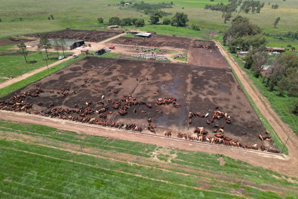Livestock farm for sale in Bronkhorstspruit - PRN1686043 Livestock farm for sale in Bronkhorstspruit - PRN1686043
