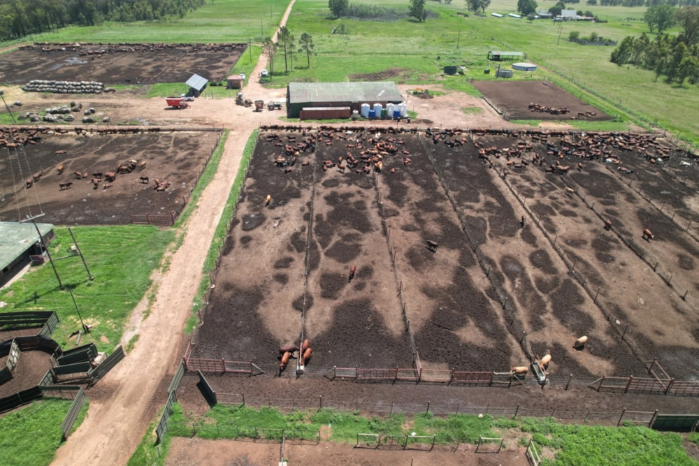 Livestock farm for sale in Bronkhorstspruit - PRN1686043 Livestock farm for sale in Bronkhorstspruit - PRN1686043