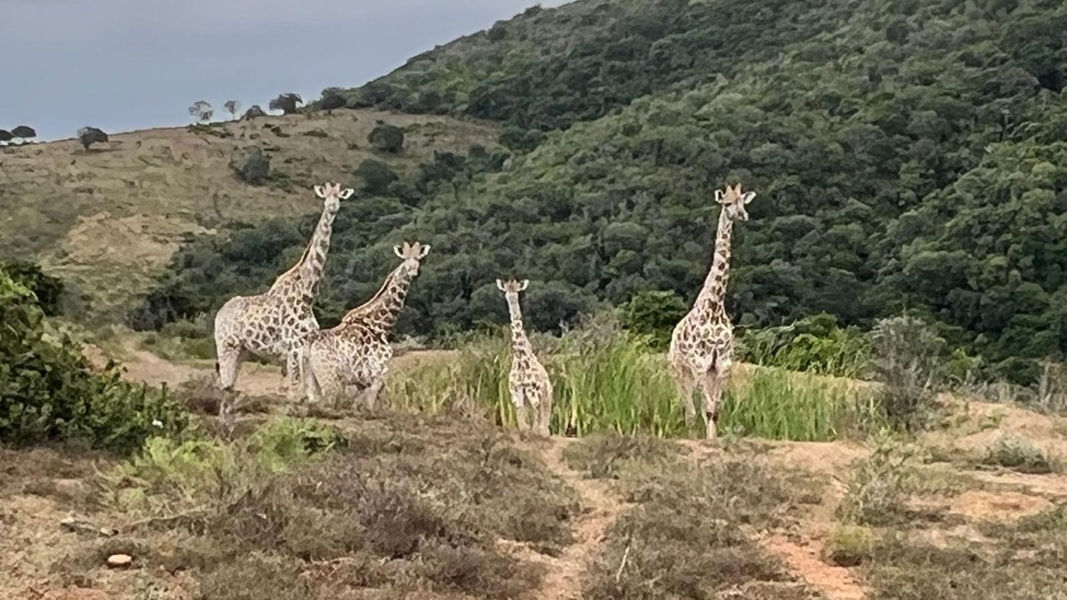 Lifestyle property for sale in Kenton on Sea - 1KO1606077