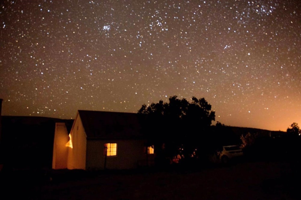 Fruit farm for sale in Krakeel River - 1SA1687700