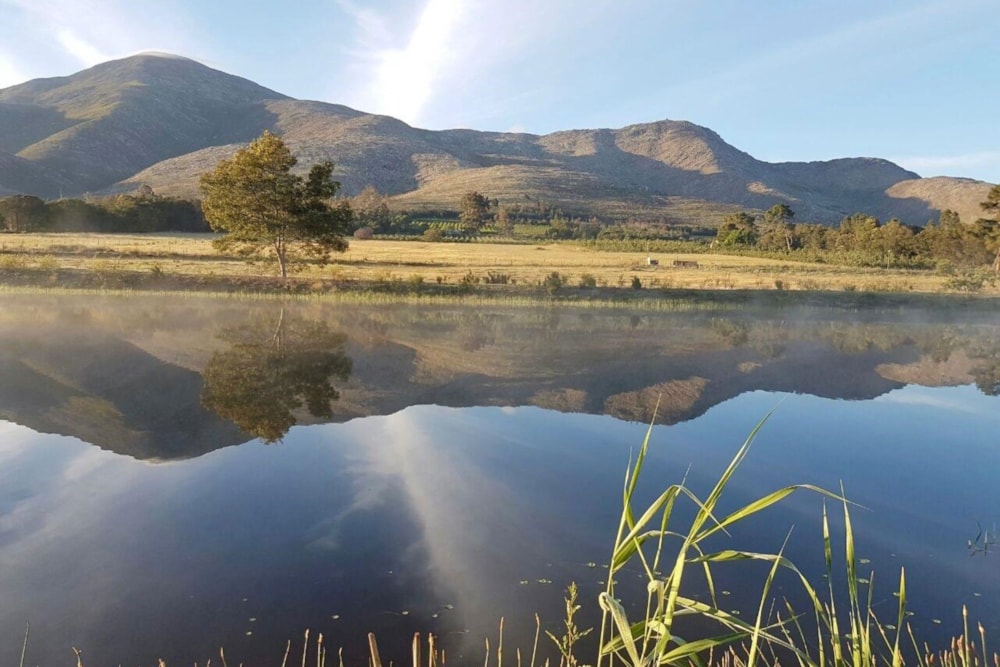 Fruit farm for sale in Krakeel River - 1SA1687700