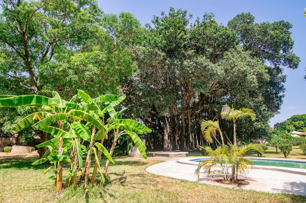 House for sale in Malindi, Kenya - 3KE1685136 House for sale in Malindi, Kenya - 3KE1685136