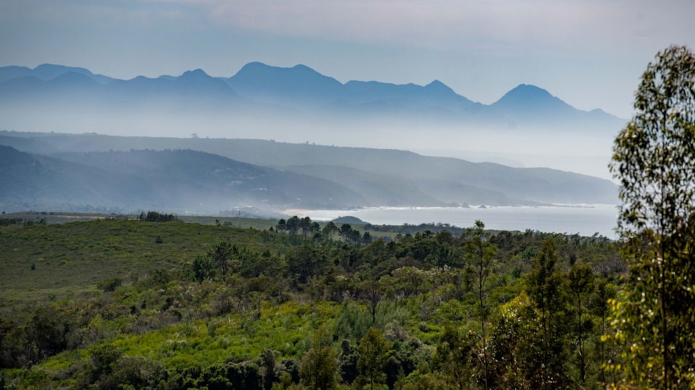 Farm vacant land for sale in Plettenberg Bay - 1KG1689129