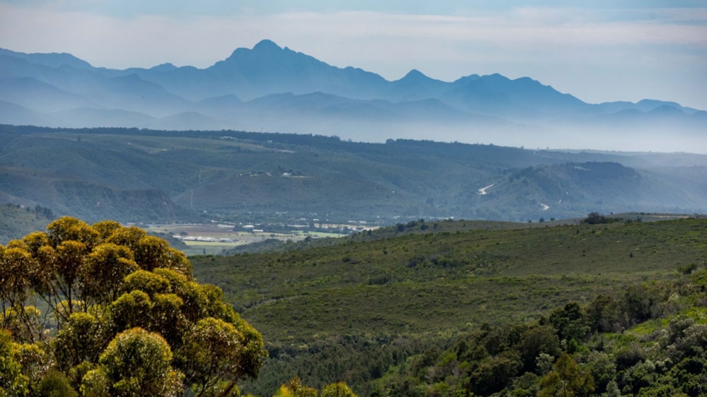 Farm vacant land for sale in Plettenberg Bay - 1KG1689129 Farm vacant land for sale in Plettenberg Bay - 1KG1689129