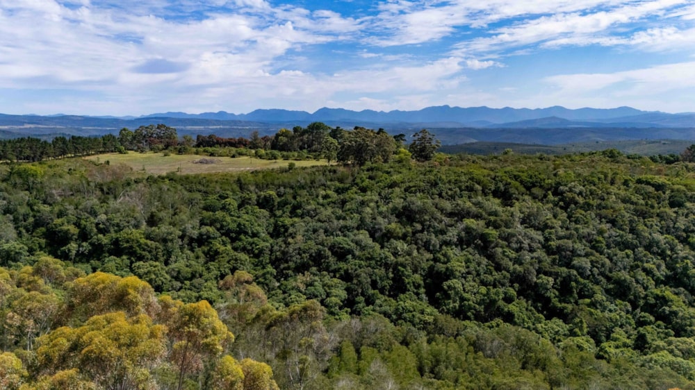 Farm vacant land for sale in Plettenberg Bay - 1KG1689129 Farm vacant land for sale in Plettenberg Bay - 1KG1689129